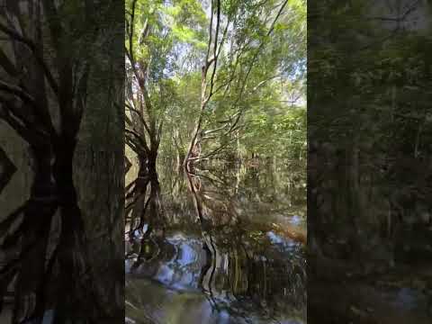 Last week adventure #