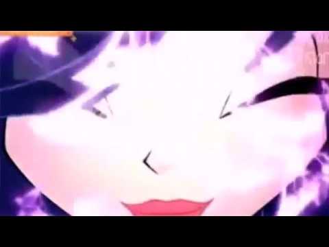 Musa. Flora. Bloom e. Stella 7X19