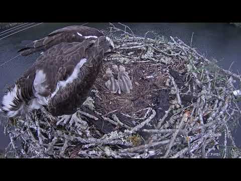 06.09.2020 Afternoon