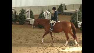 Splash Page -  Fields & Fences 'A' Show February 2013