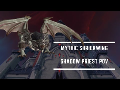Medium vs Mythic Shriekwing - Shadow Priest PoV