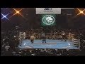 Mike Tyson Vs Francois Botha Full Fight 1 16 1999