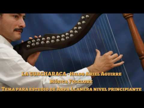 HILDO ARIEL AGUIRRE - La Guacharaca / Música Folclore ( Nivel Principiante)