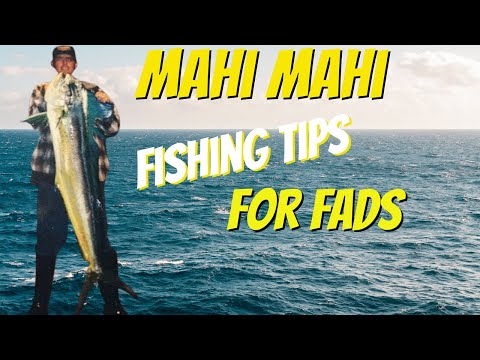 Mahi Mahi fishing tips for FADs