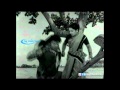 Rajvideovision Rajvideovision Jakkamma Movie Comedy 11