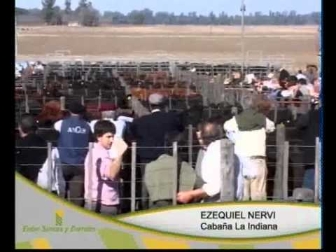 Entre Surcos y Corrales - Programa 28 - Parte 1 de 5