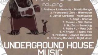 Nu Zau - Someday (Original Mix)