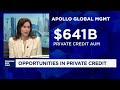 Apollo Executive Sees Fundamental Rethink On Private Credit S Role In One S Investment Portfolio
