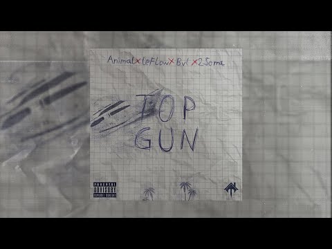 Animal x LeFlow x BVL x 2soma - Top Gun (Official Audio)