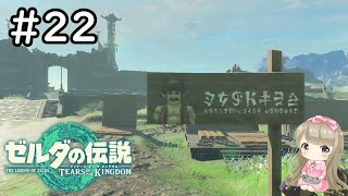 【女性実況】#22 ゼルダの伝説 ティアーズ オブ ザ キングダムで癒される【ティアキン/中央広場跡】