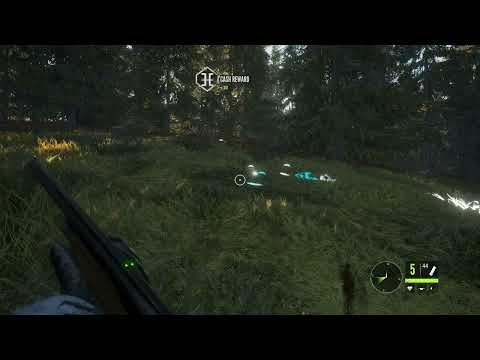 🐇 How to Kill 3 Rabbits with 1 Shot | The Hunter Call of the Wild