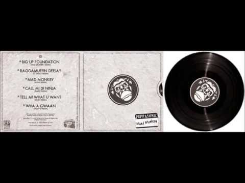 Puppasonic - Big Up Foundations (MadMonkey)