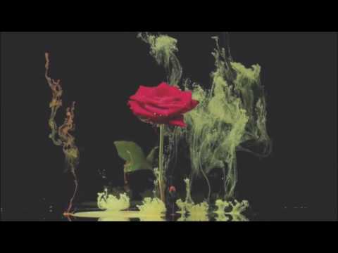 Evgeny Svalov (4Mal) - Let's Get Back (Club Mix) [FlipCube Records]