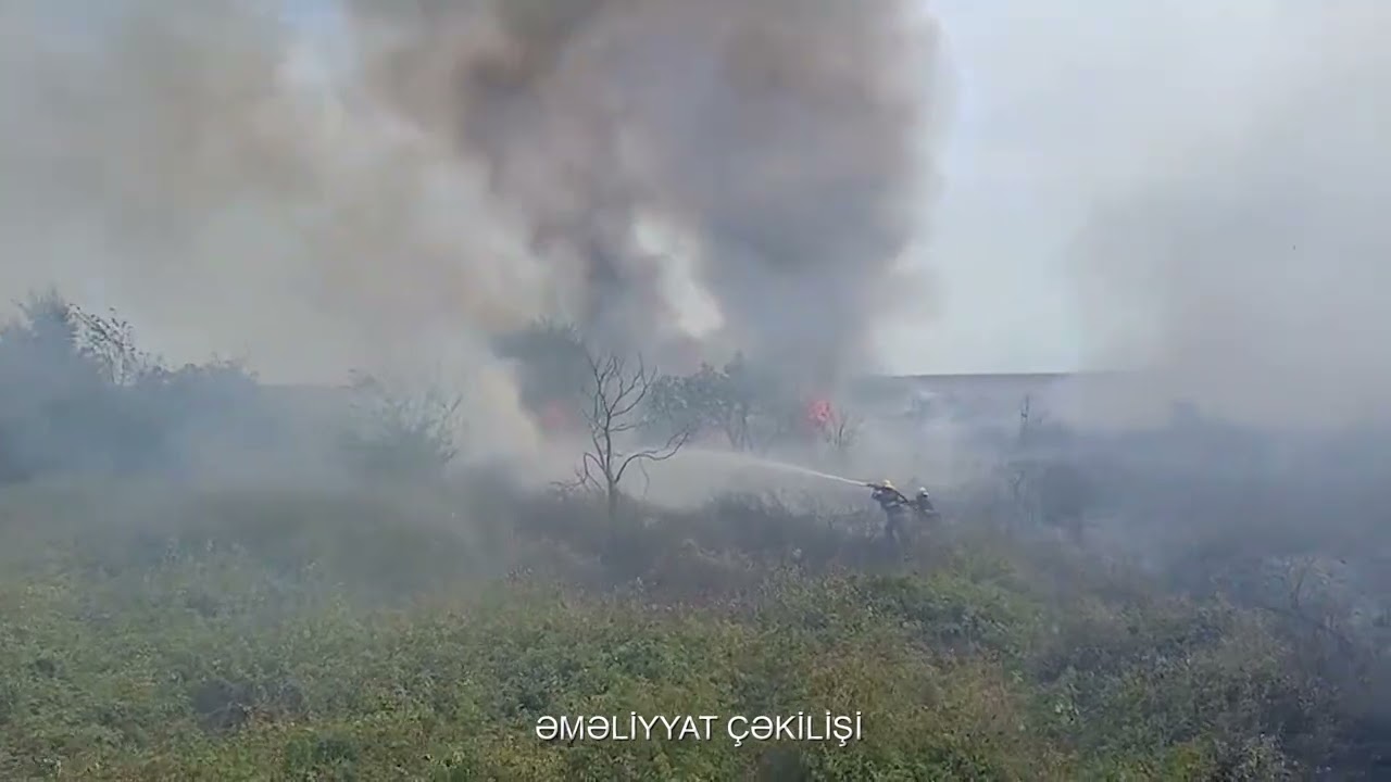 Lənkəranda açıq sahələrdə yanğınlar söndürülüb VİDEO