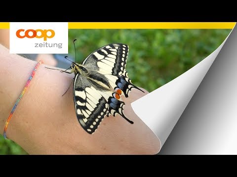 Schmerzen im unteren Rücken und Nachttemperatur 37 Schmerzen in der Rückseite des Kopfes und des Halses eines Erwachsenen