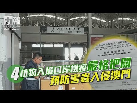 民署六人小組檢疫堵截