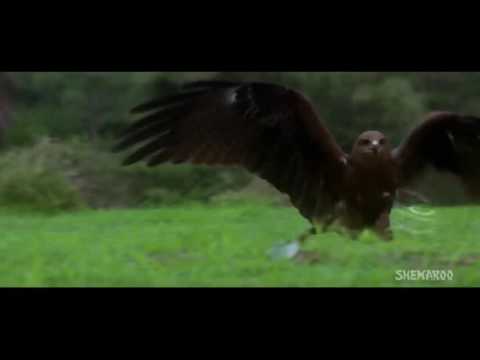 Poster mausam ki ravani