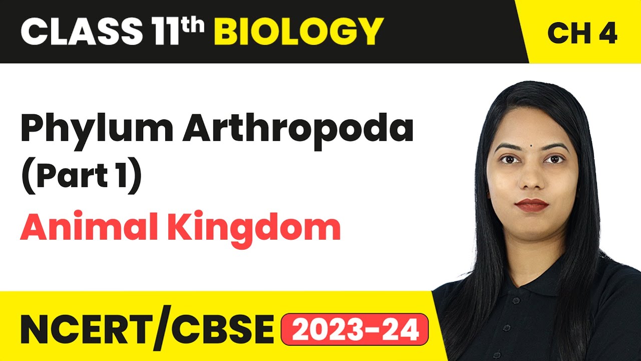 Phylum Arthropoda (Part 1) - Animal Kingdom | Class 11th Chapter 4 | Biology | CBSE 2024-25
