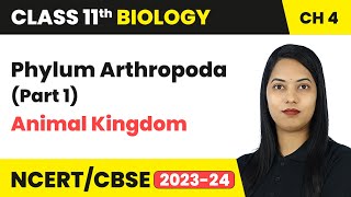 Phylum Arthropoda (Part 1) - Animal Kingdom | Class 11th Chapter 4 | Biology | CBSE 2024-25