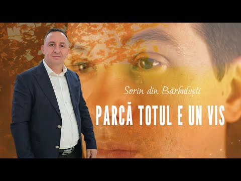 Sorin din Barbulesti - PARCA TOTUL E UN VIS ❤️‍🩹