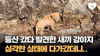 썸네일 이미지