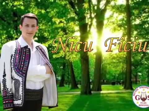 SPOT ALBUM  NICU FICIU