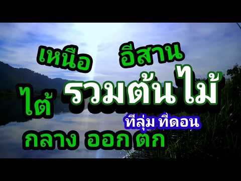 ไม้ป่าในแต่ละภาคของไทย 