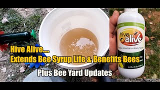 Hive Alive.... Extends Bee Syrup Life & Benefits Bees Health / Plus Bee Yard Updates