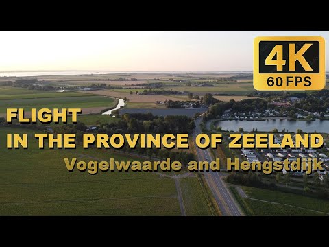 Flight in Vogelwaarde and Hengstdijk July 17, 2022