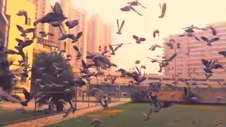 Cash Rules Everything Around Me