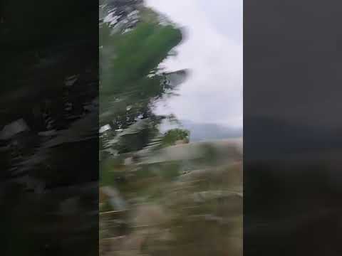 Moh, balik koje !! (1)