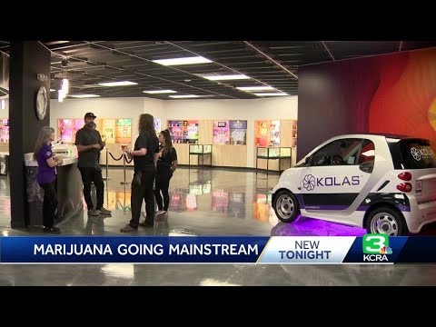 'The new normal is here': Largest marijuana megastore in Sacramento region to open in Arden area