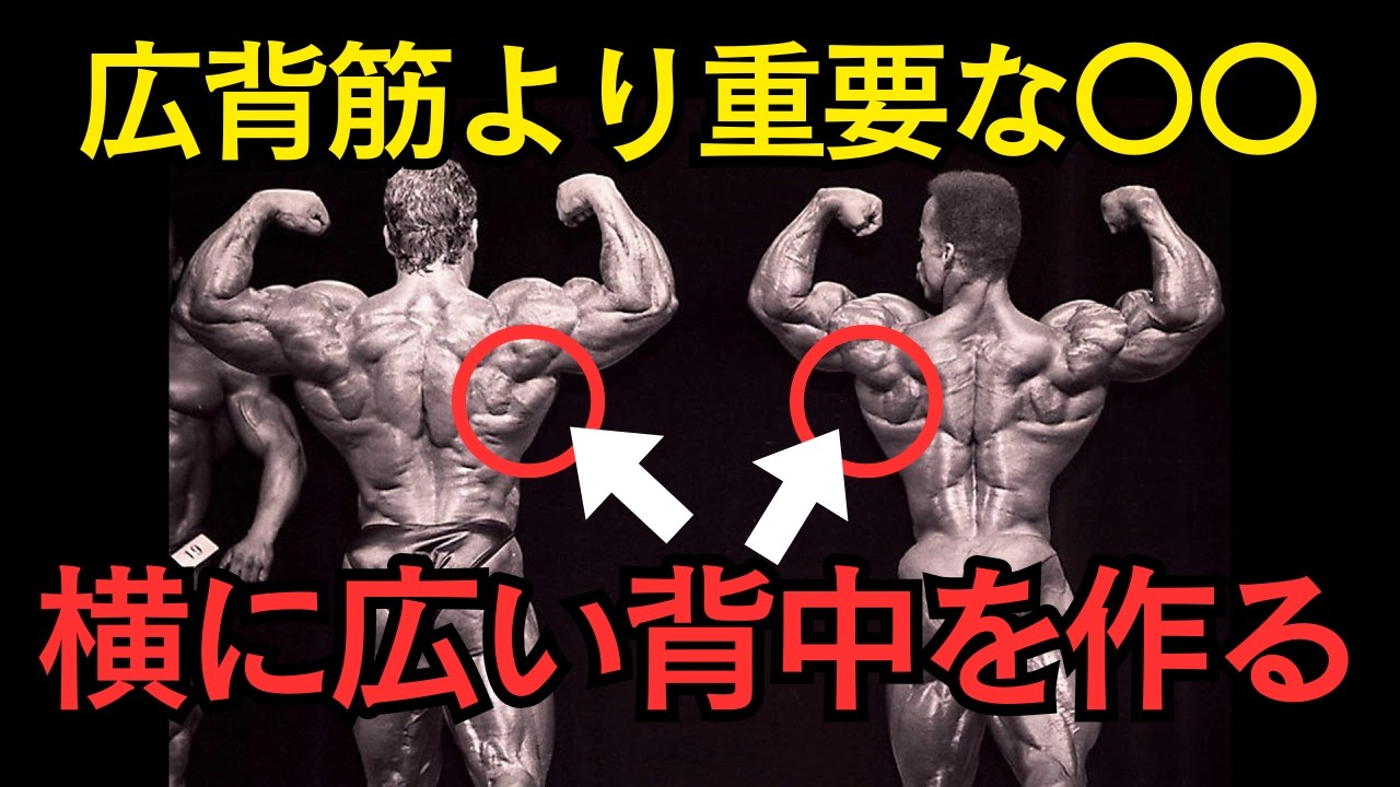 背中の広がりを作るのは広背筋だけじゃない！上背を作る種目選択
