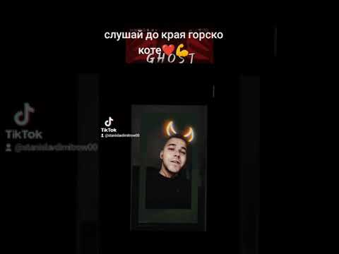 Stambe stambeto - горско коте official (2024)