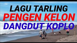 Download lagu LAGU TARLING PENGEN KELON DANGDUT KOPLO mp3 Download lagu LAGU TARLING PENGEN KELON DANGDUT KOPLO mp3