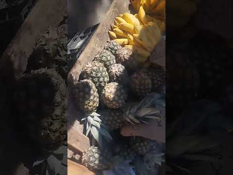 Feira de Muriaé Minas Gerais. #feira #minasgerais #muriaé #thalialopes