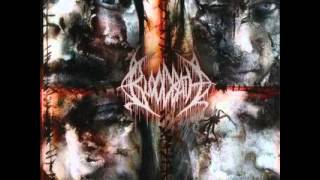 Bloodbath - Trail Of Insects