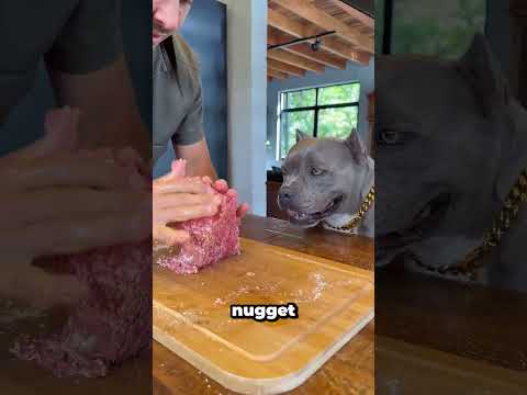 Dogs Wouldn't Eat It Raw But Baked They Went Crazy 🥺🐶