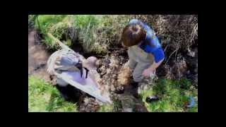 Blue Moon Rising.org - Cove Run Brook Trout Restoration