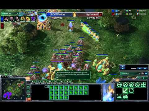 ROOTDestiny(Z) vs dignitasNaniwa(P)- Tal Darim Altar-EG Masters Cup- Game2