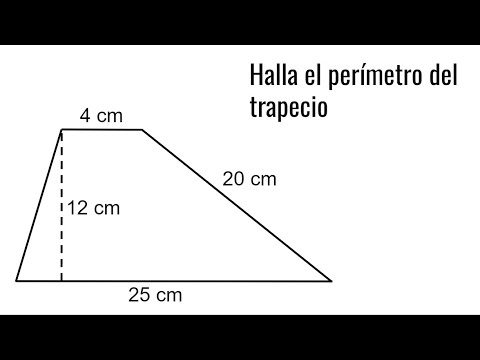 HALLAR EL PERÍMETRO DEL TRAPECIO. Geometría Básica