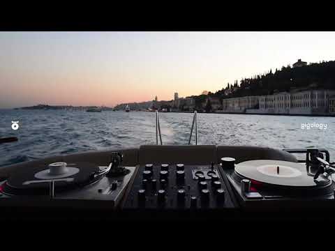 180 GR DIGGER: Javaroo ‎– Breakin' In (Bosphorus)
