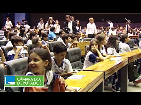 Plenarinho comemora 20 anos democratizando a política para o público infantojuvenil - 06/08/2024