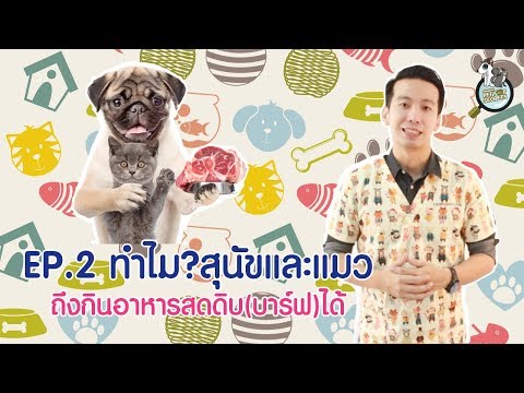 ความอ่อนแอความดันต่ำ 35 ปีสามารถความอ่อนแอในผู้ชาย