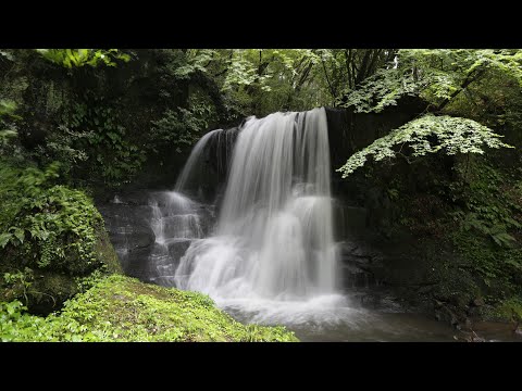 新阿蘇紀行（55.倉本滝）