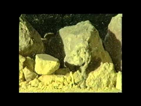 Tarnobrzeg 1995 cz. I