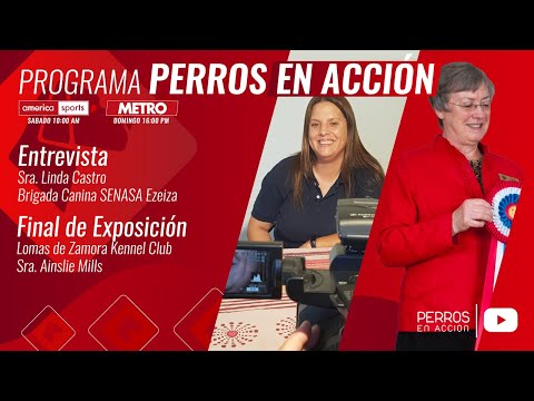 “Perros en acción”  Programa Nº 469