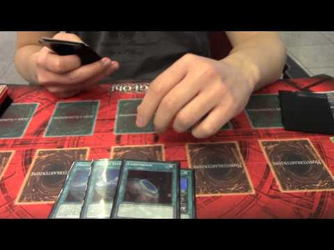 DM 2014 Top 16 - Sylvanische von Duc Huy Grasse