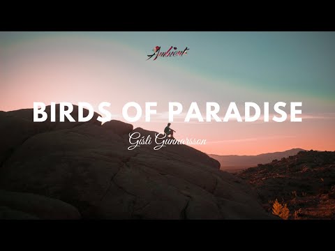 Gísli Gunnarsson - Birds of Paradise
