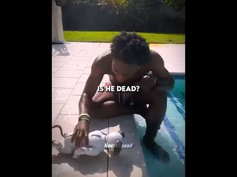 iShowSpeed broke a 50K robot dog 💀 #ishowspeed #funny #funnyvideo